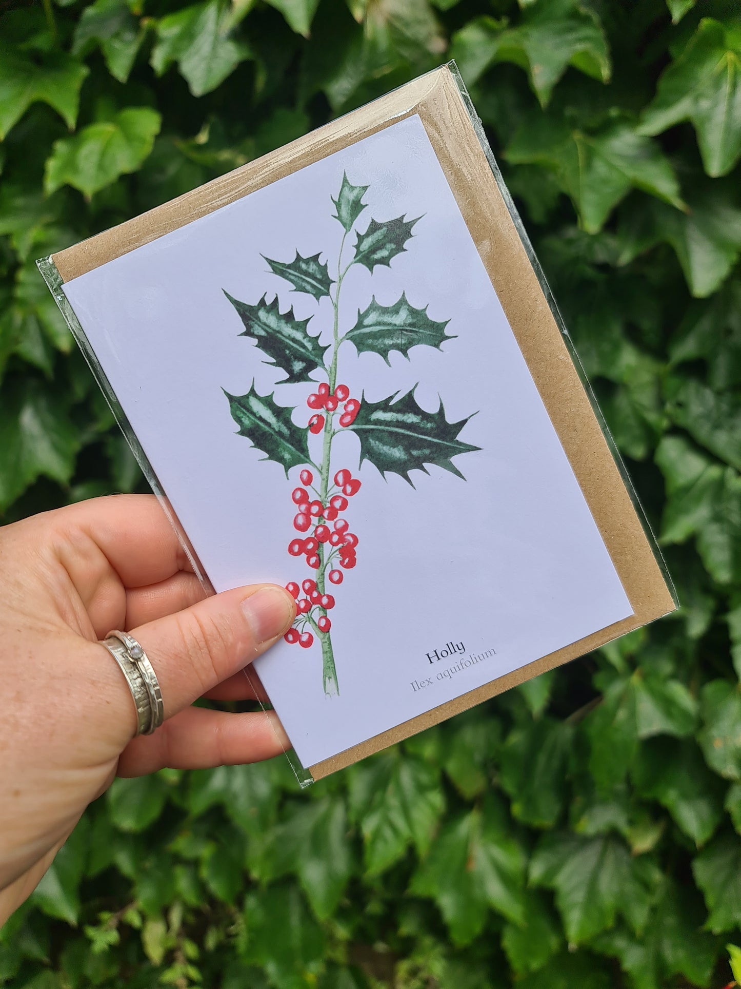 Holly- Greetings Card