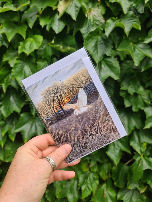 Evening Flight - Greetings Card