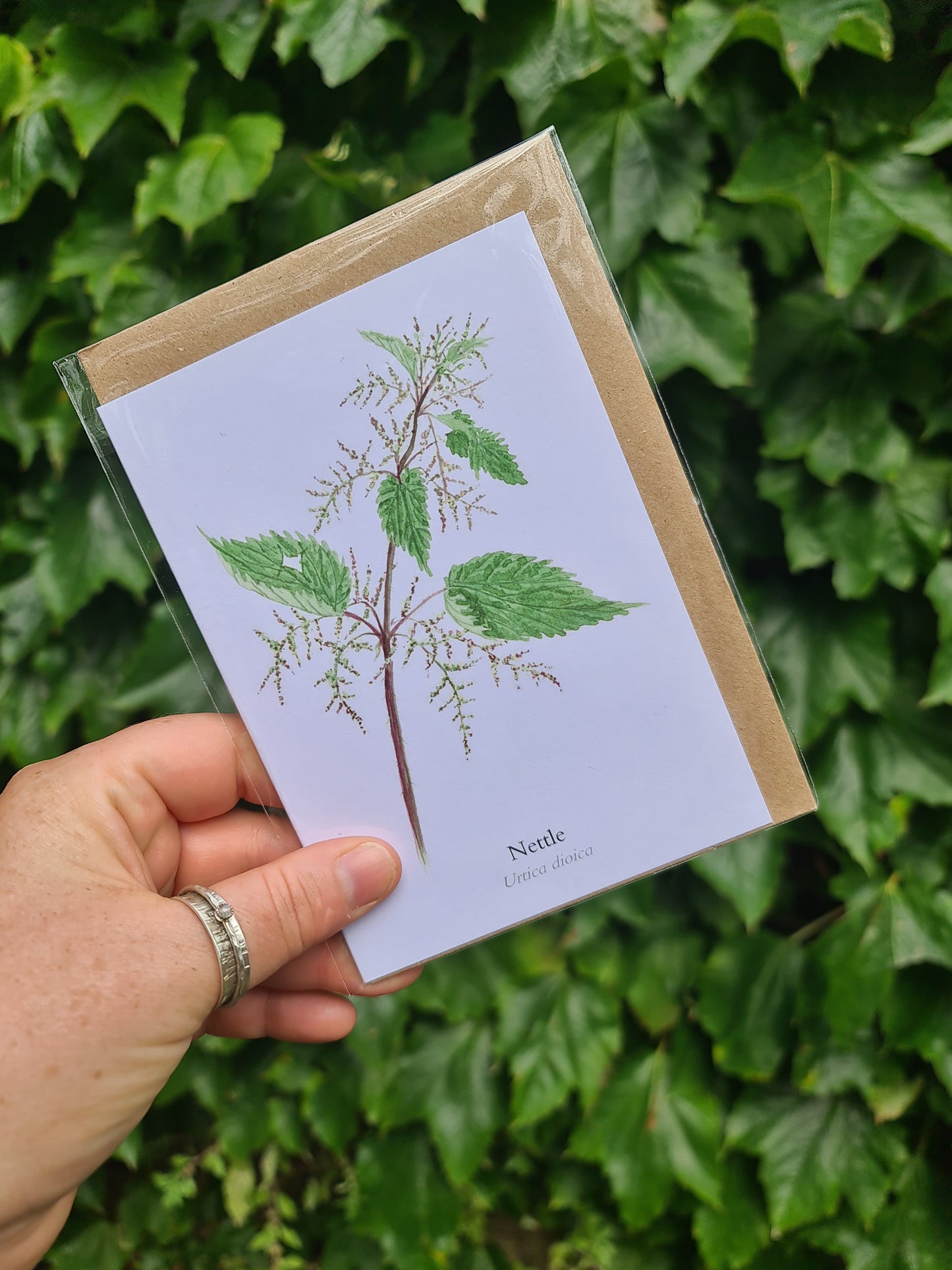 Nettle - Greetings Card