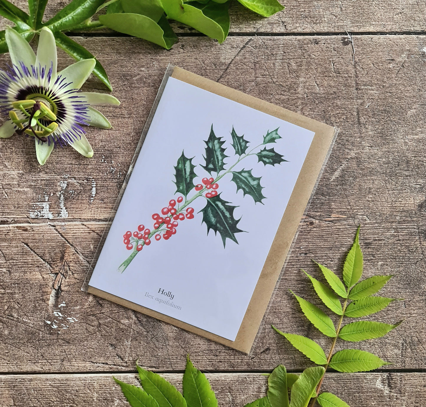 Holly- Greetings Card