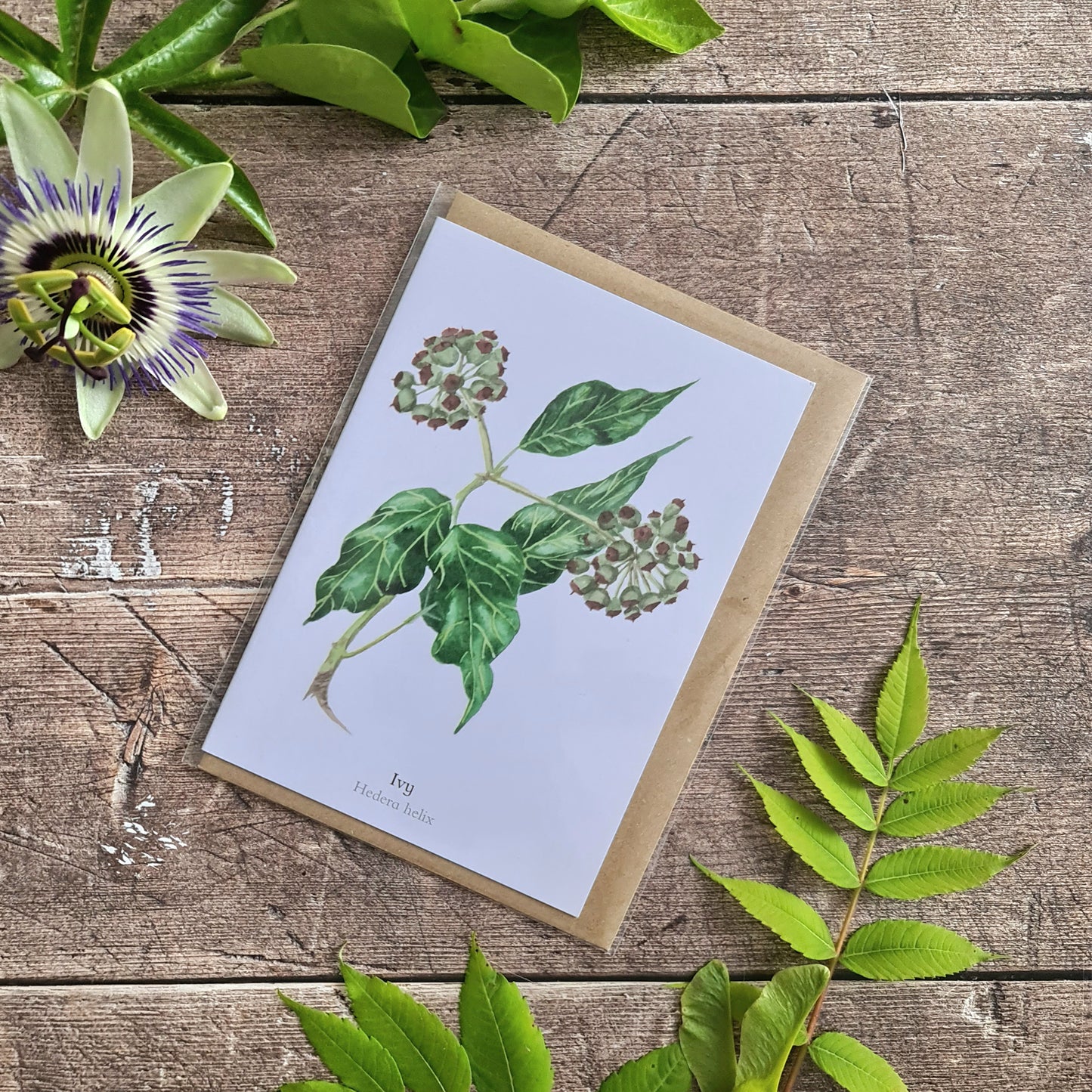 Ivy - Greetings Card