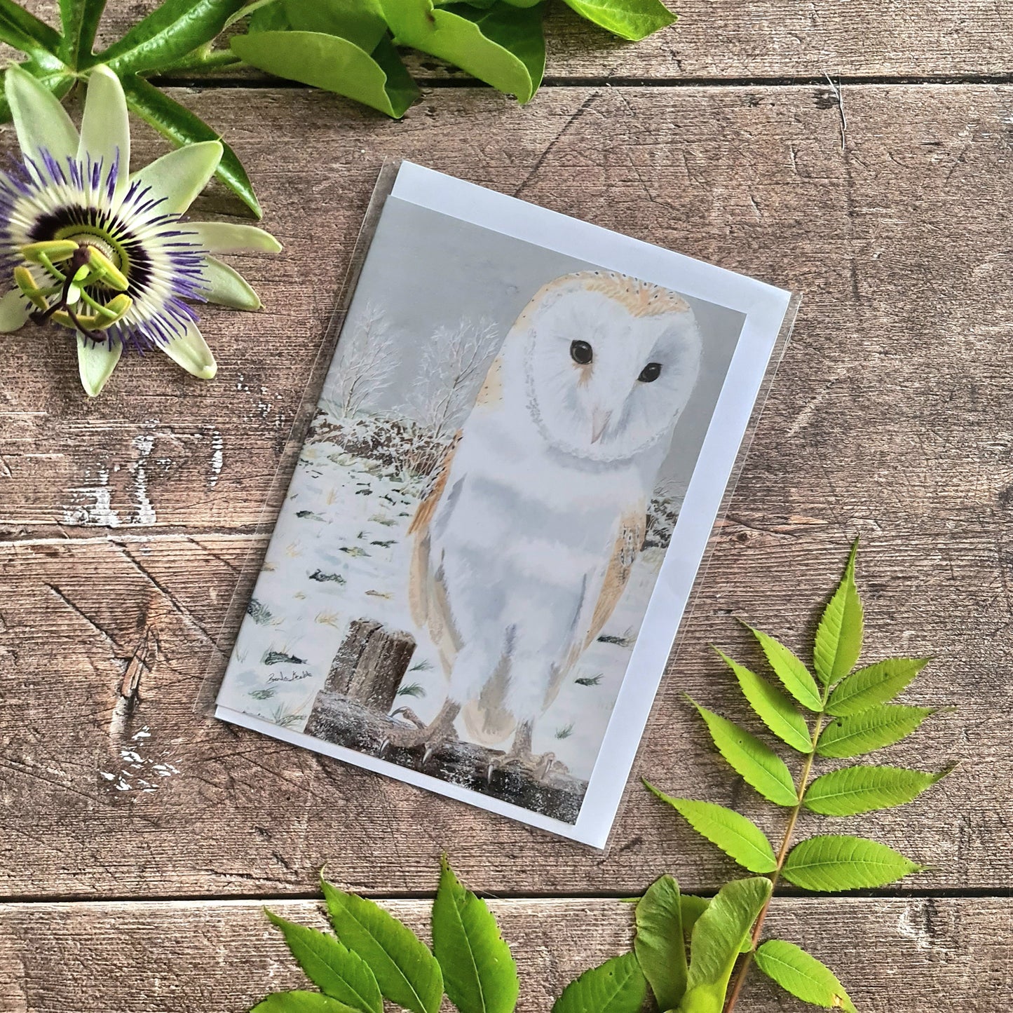 Surveying the Snowy Stillness - Greetings Card