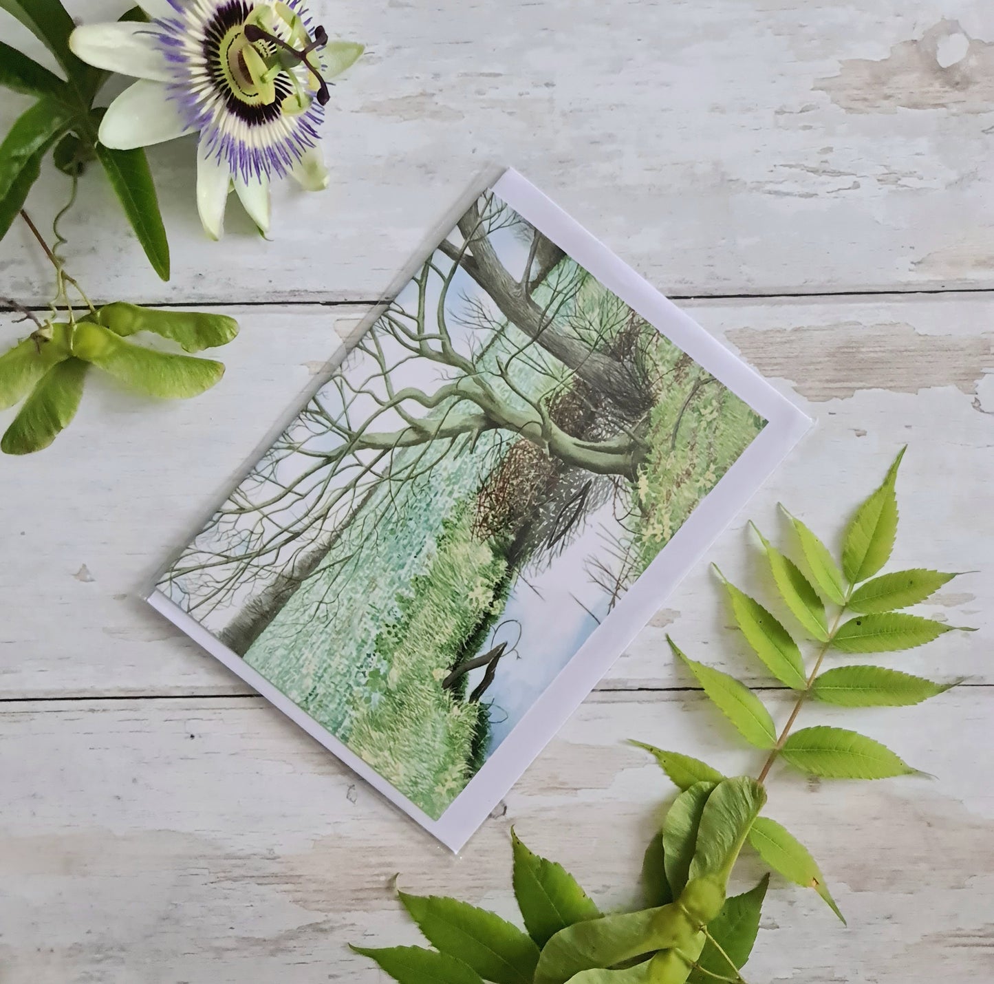Primroses - Greetings Card