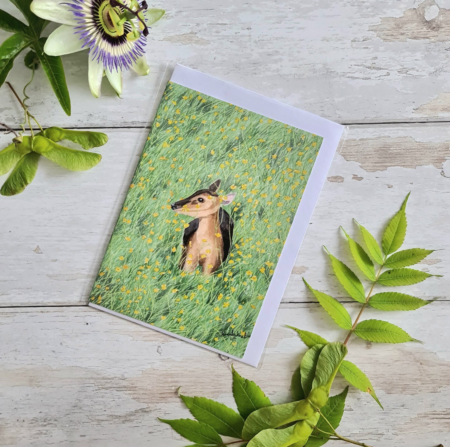 Muntjac Deer in Buttercups - Greetings Card