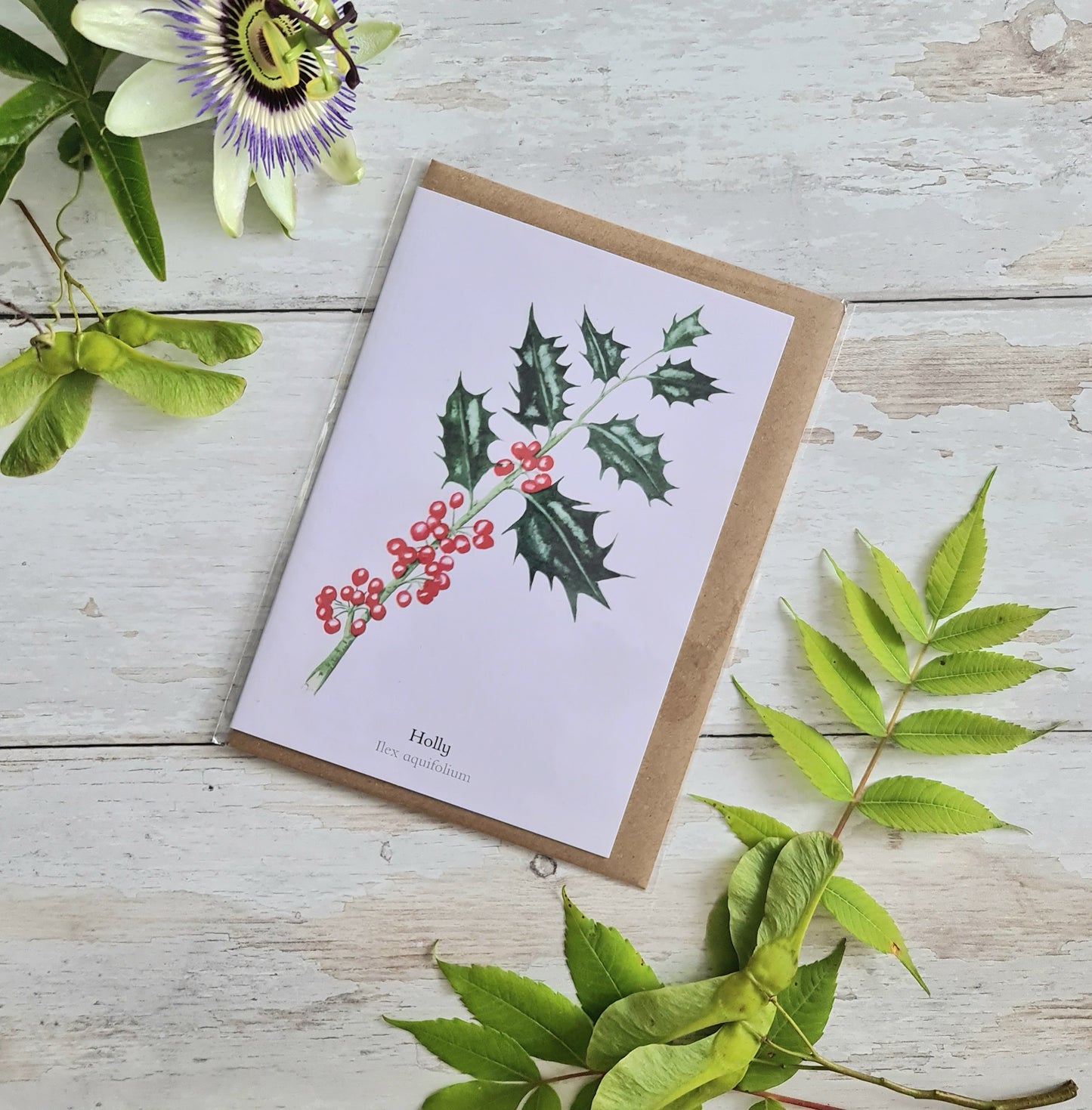 Holly- Greetings Card
