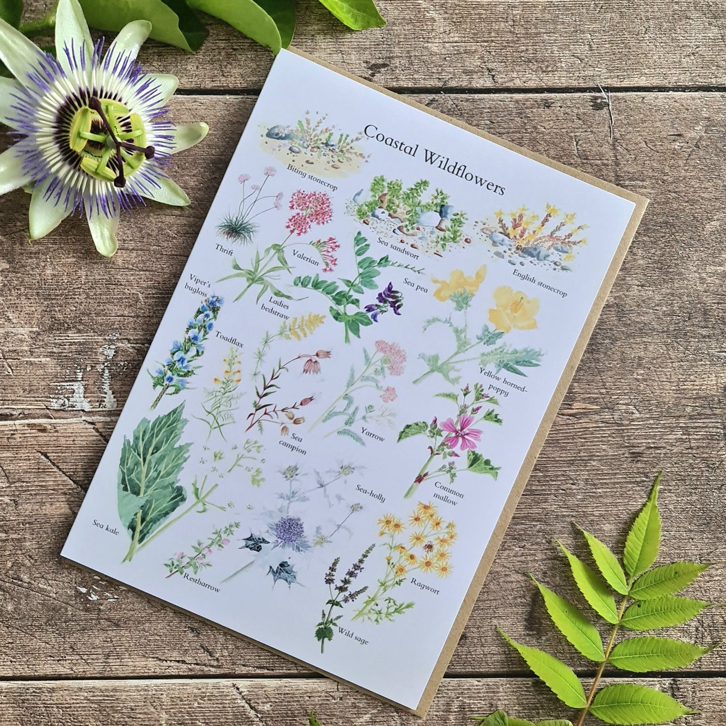 Coastal Wildflowers - Greetings Card