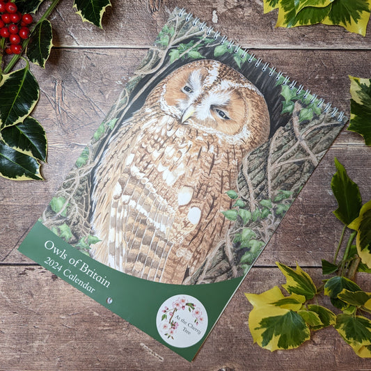 2024 Calendar - Owls of Britain