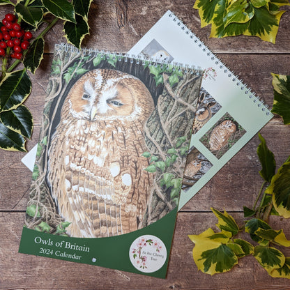 2024 Calendar - Owls of Britain