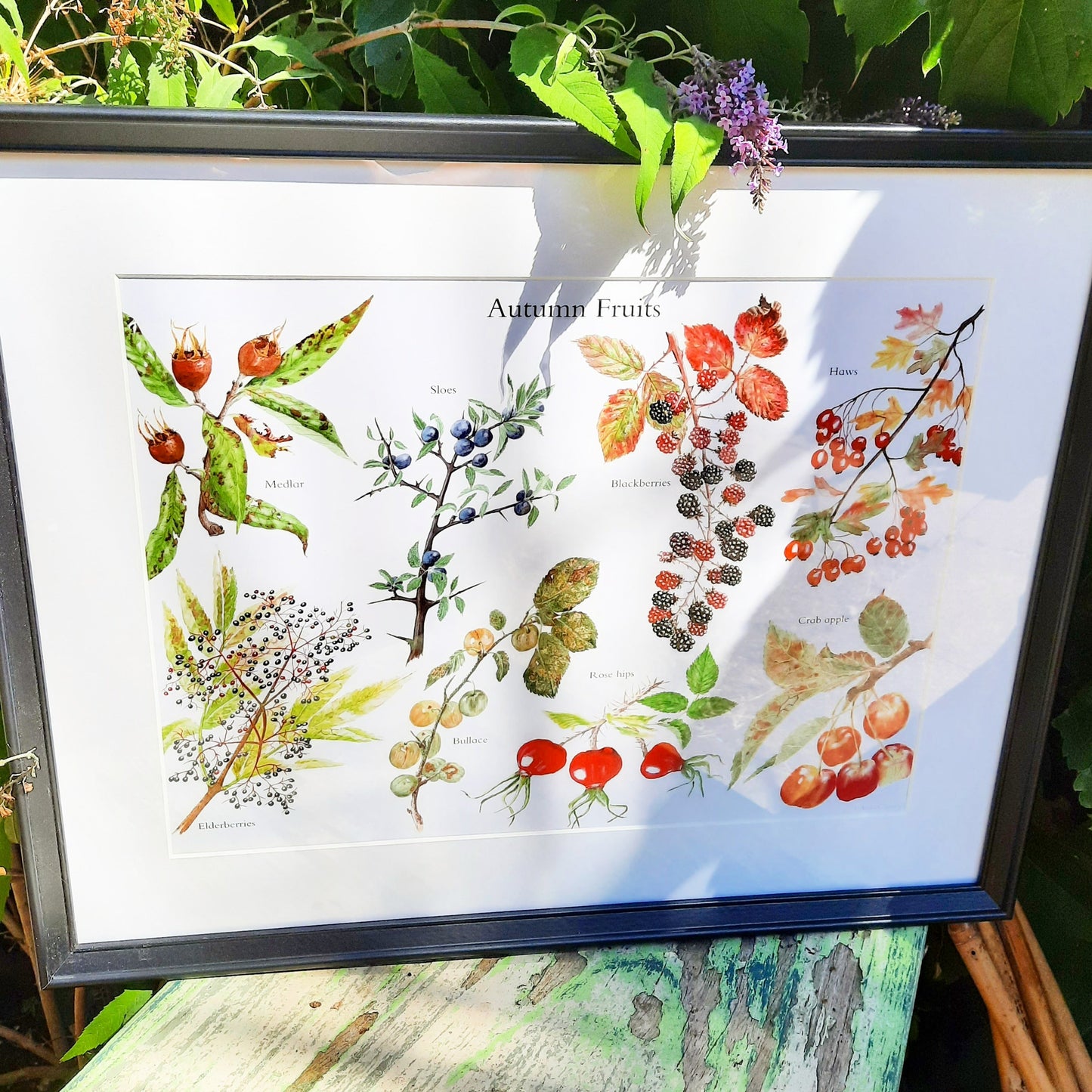 A3 Autumn fruits - Poster Print - At the Cherry Tree
