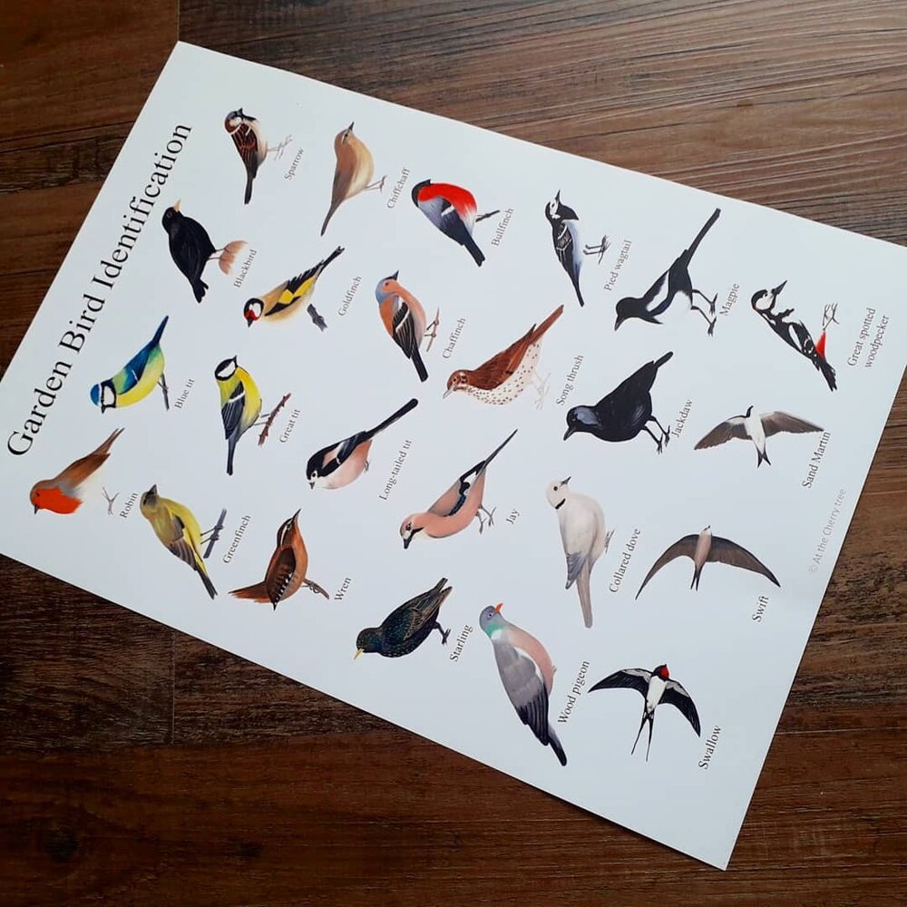 A3 Garden Bird - Poster - At the Cherry Tree