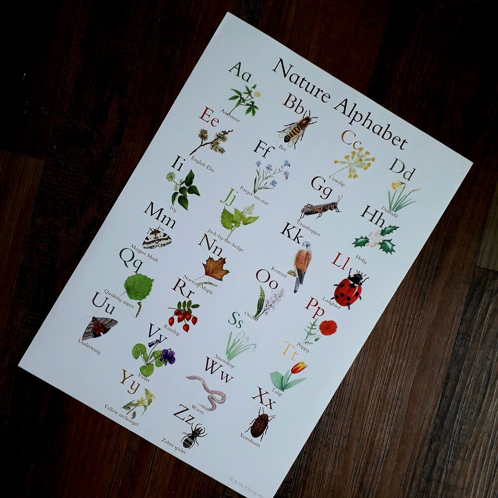 A3 Nature Alphabet - Poster - At the Cherry Tree
