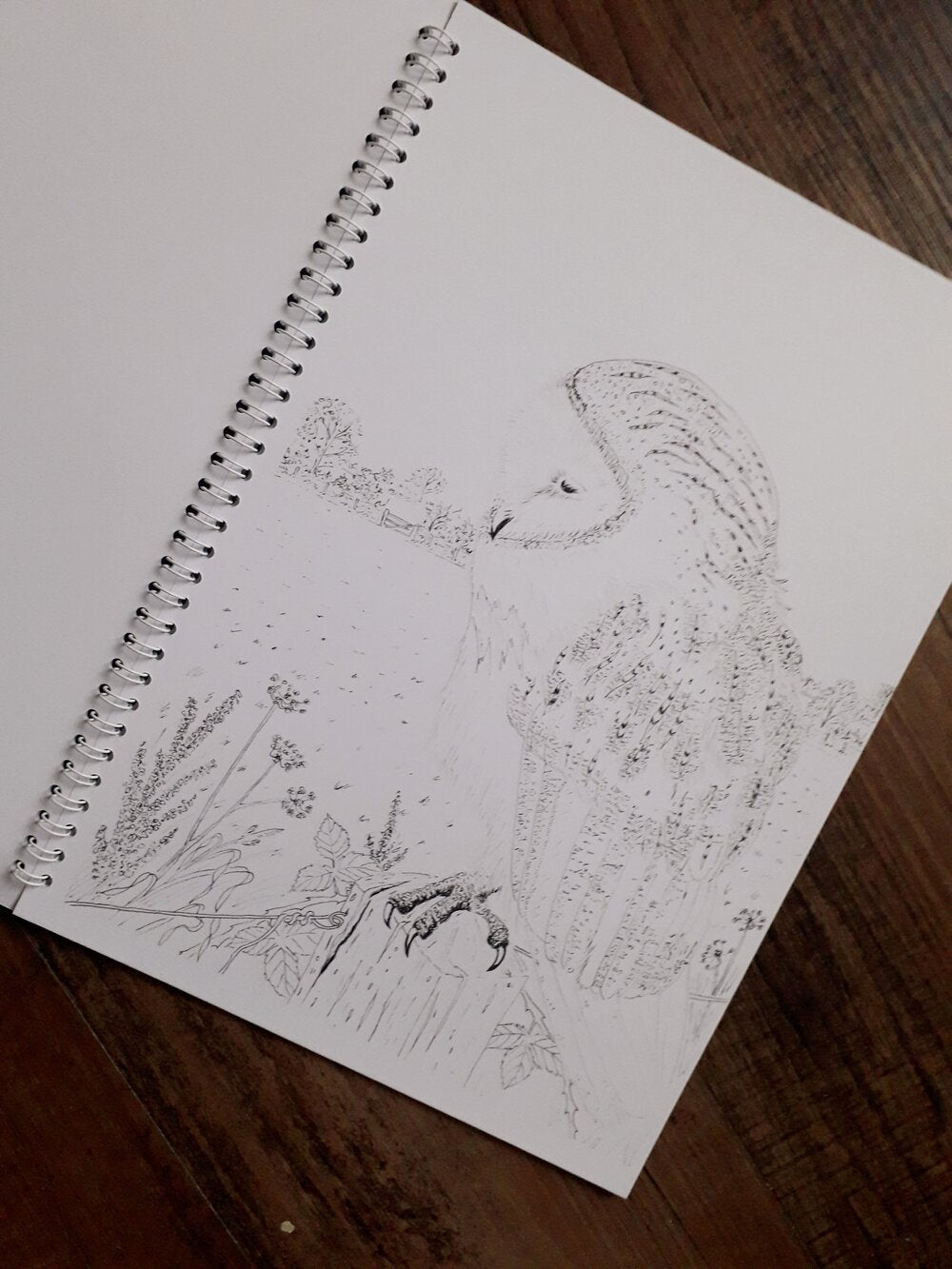 Art Colouring - Birds - At the Cherry Tree