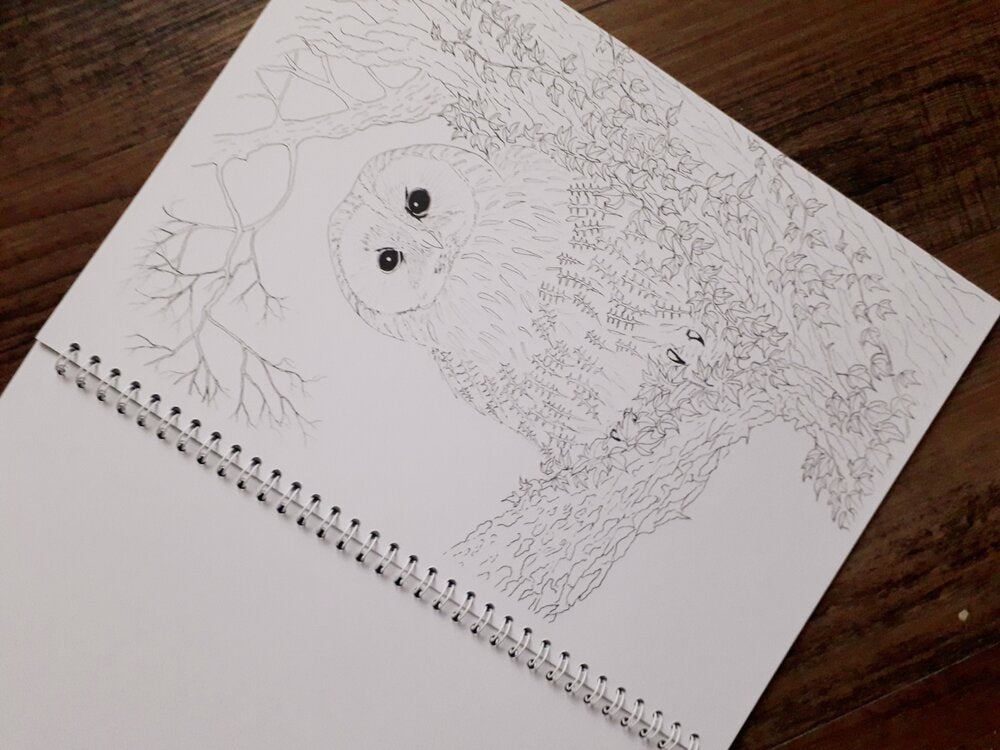 Art Colouring - Birds - At the Cherry Tree