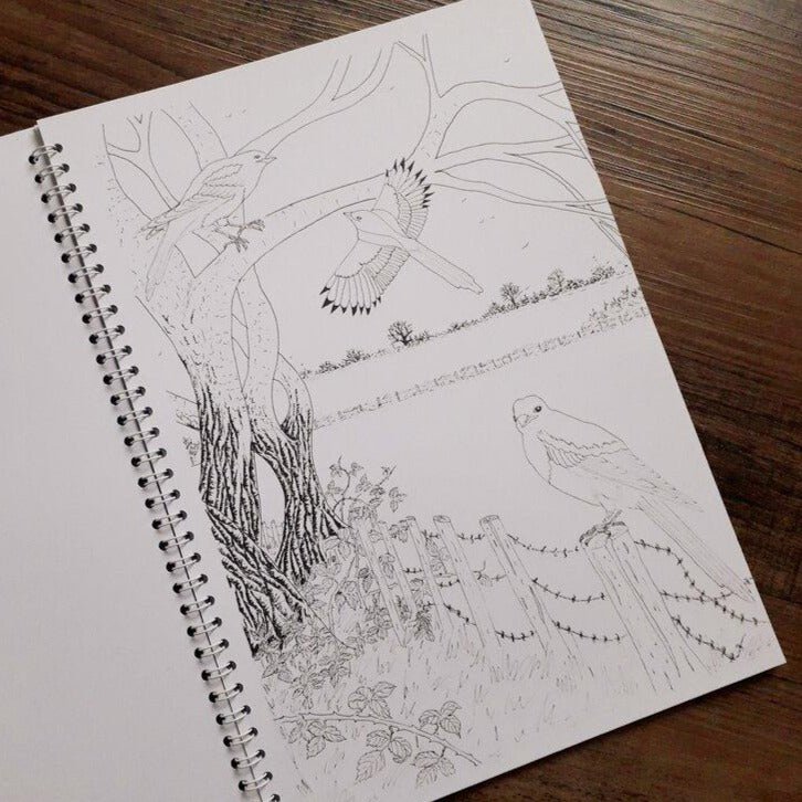 Art Colouring - Birds - At the Cherry Tree