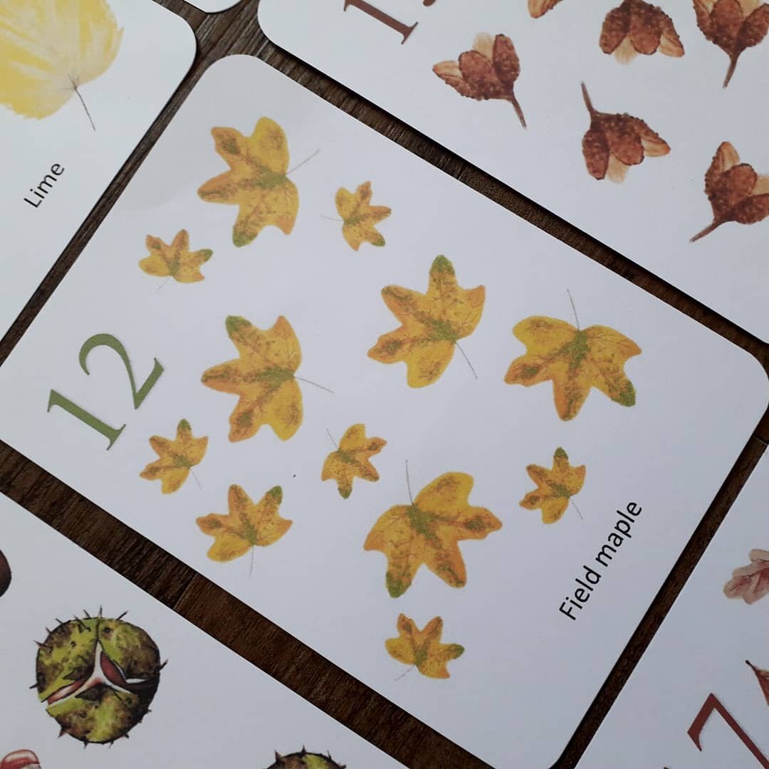 Autumn counting cards - PDF - At the Cherry Tree