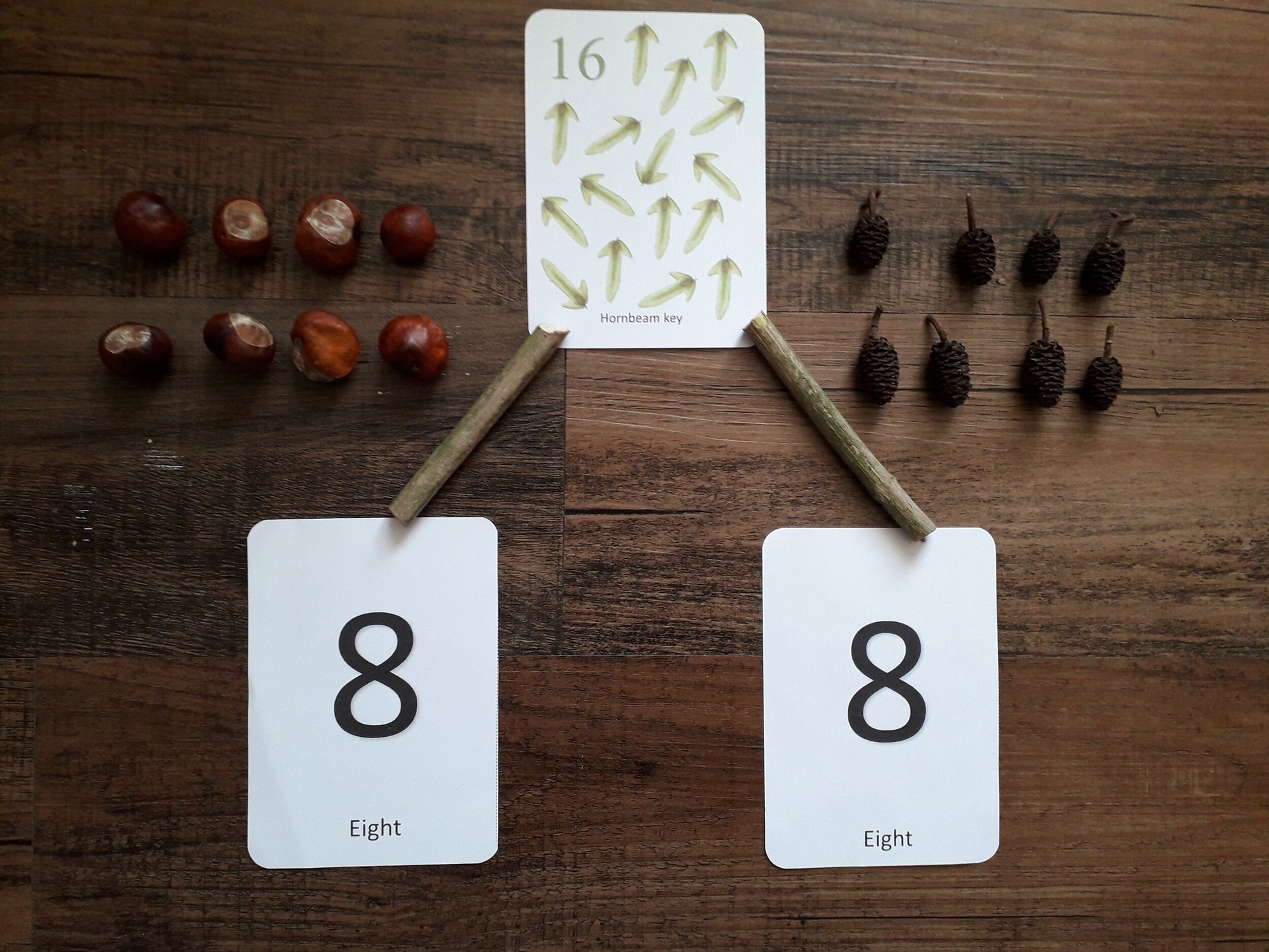 Autumn counting cards - PDF - At the Cherry Tree