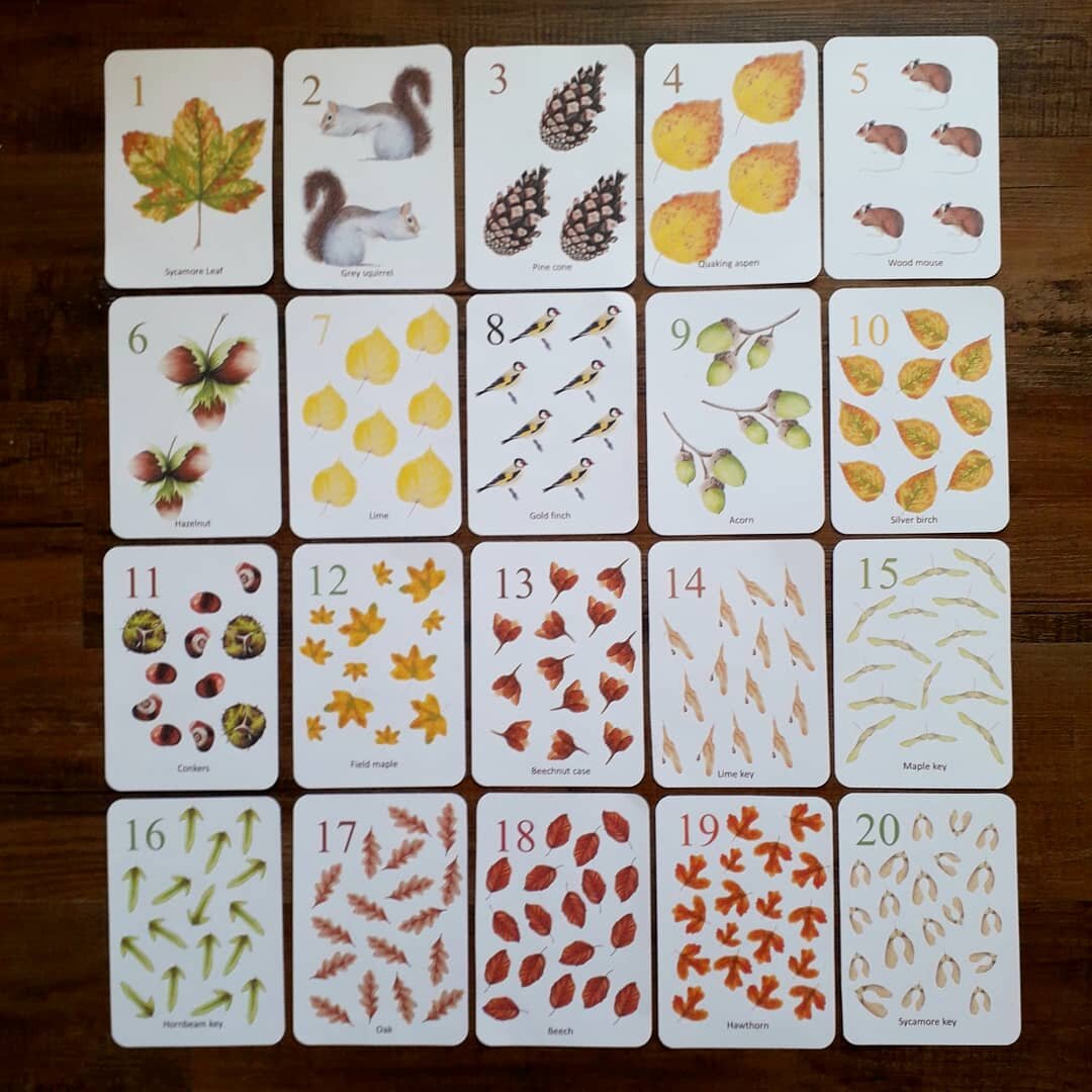 Autumn counting cards - PDF - At the Cherry Tree