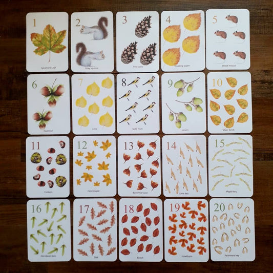 Autumn counting cards - PDF - At the Cherry Tree