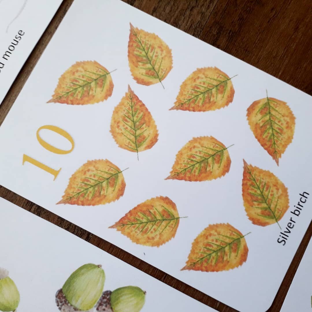 Autumn counting cards - PDF - At the Cherry Tree