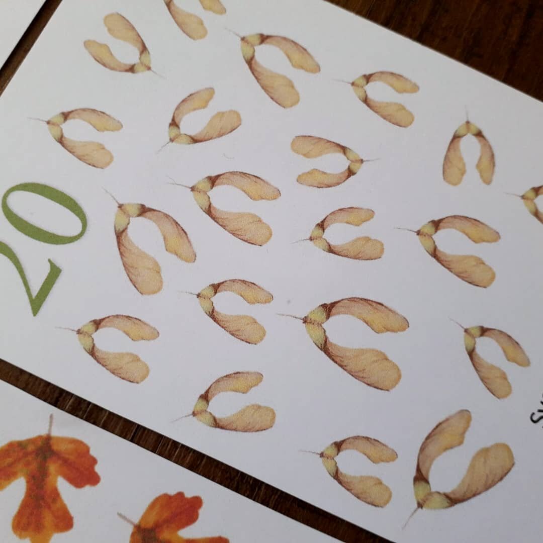 Autumn counting cards - PDF - At the Cherry Tree