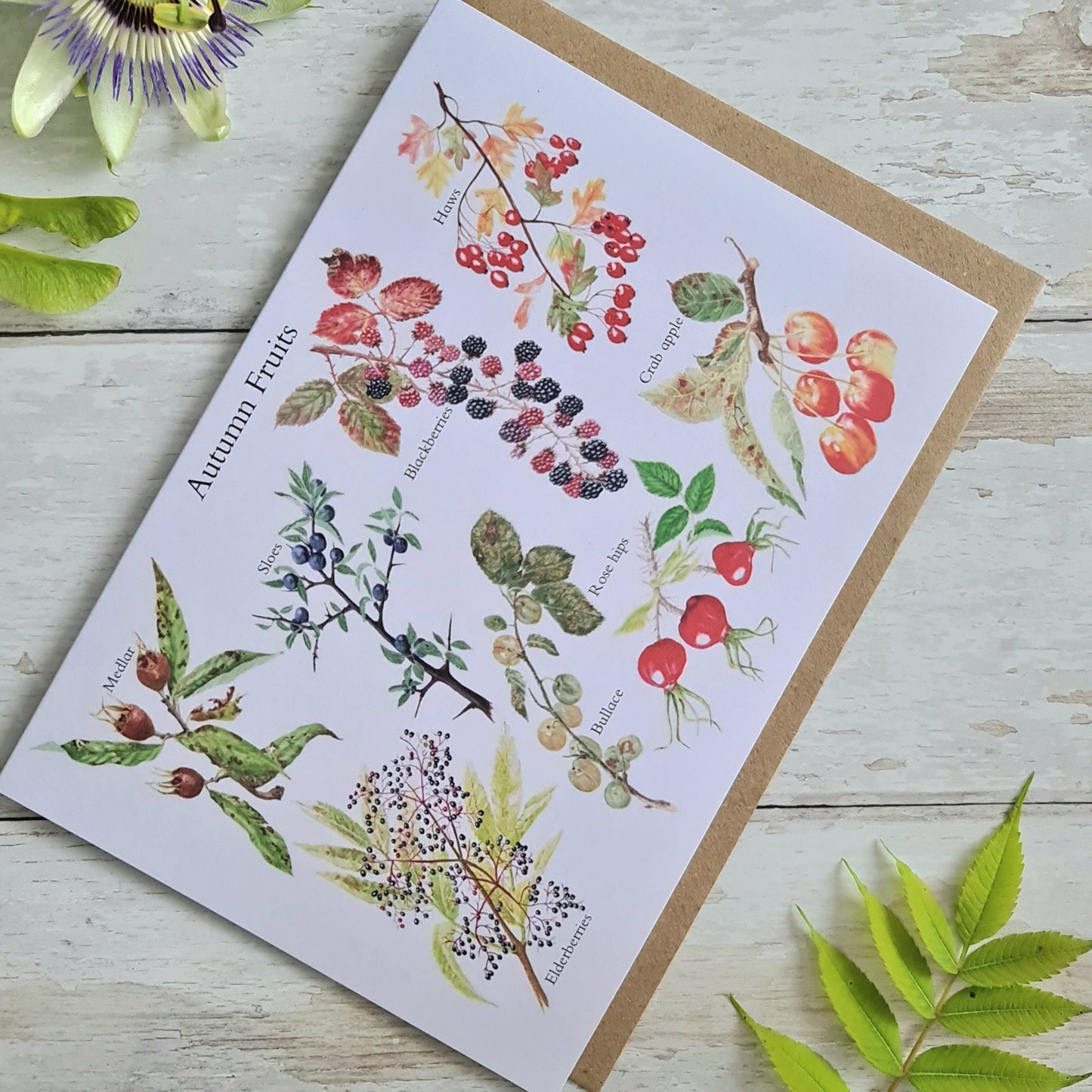 Autumn Fruit ID - Greetings Card - At the Cherry Tree