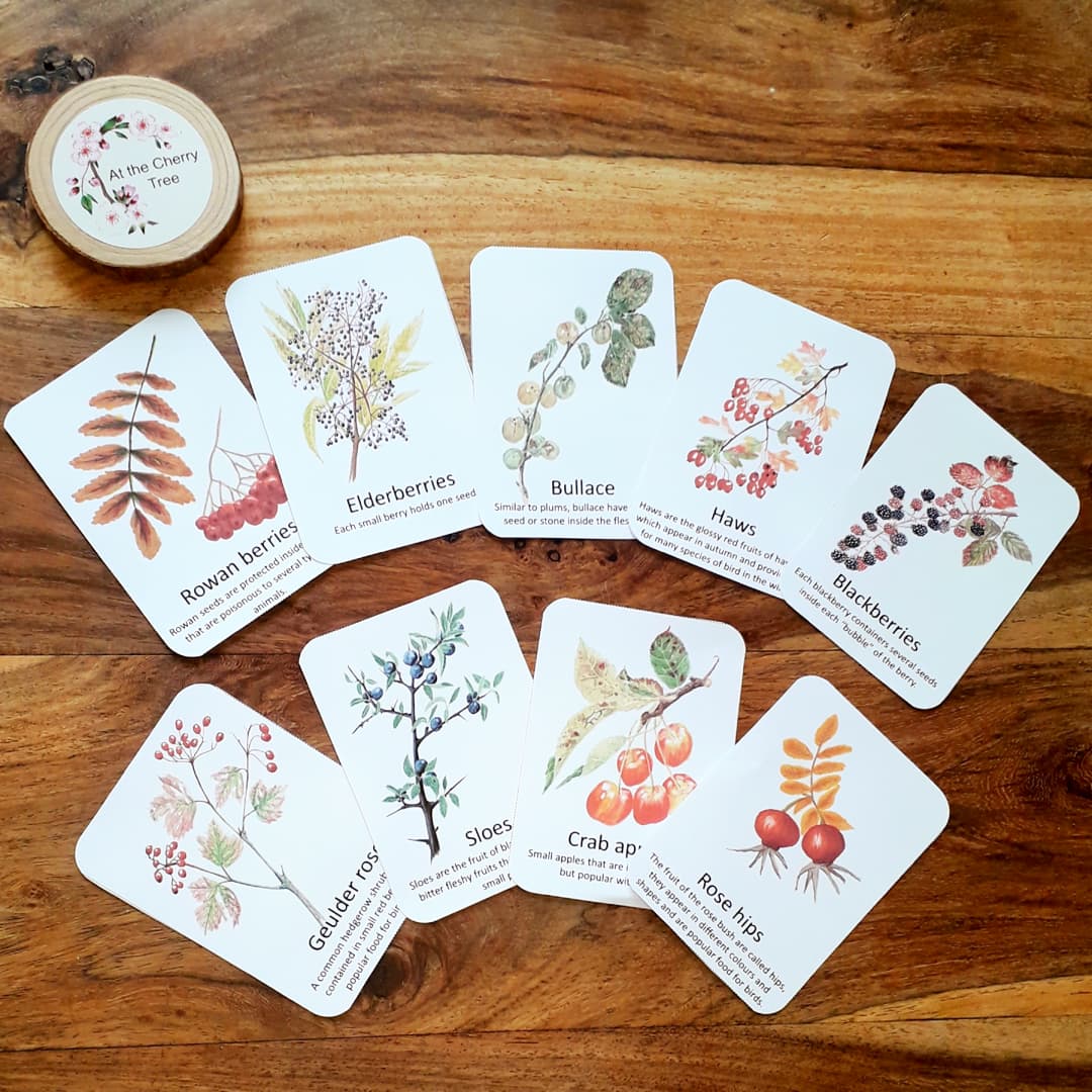 Autumn fruits - PDF - At the Cherry Tree