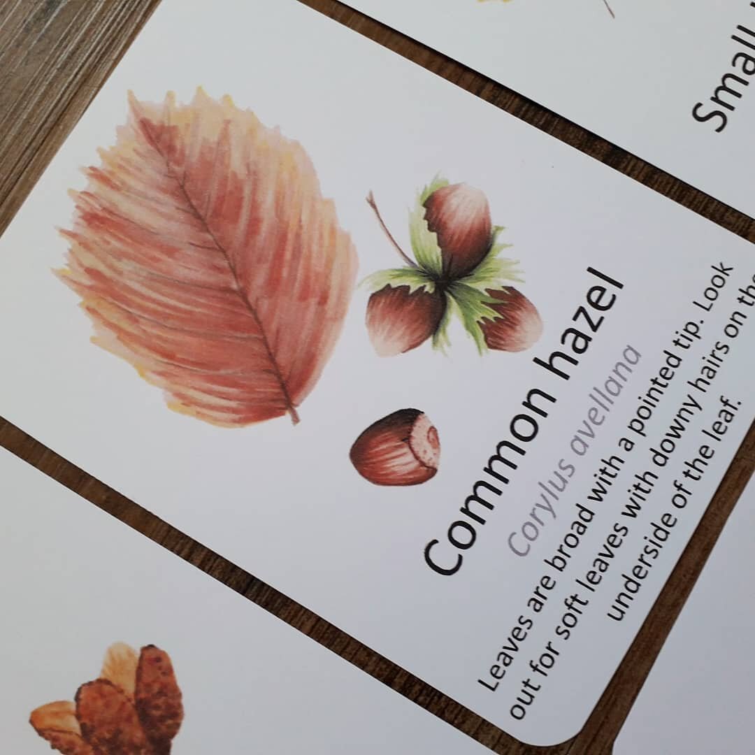 Autumn Leaf Flashcards - PDF - At the Cherry Tree