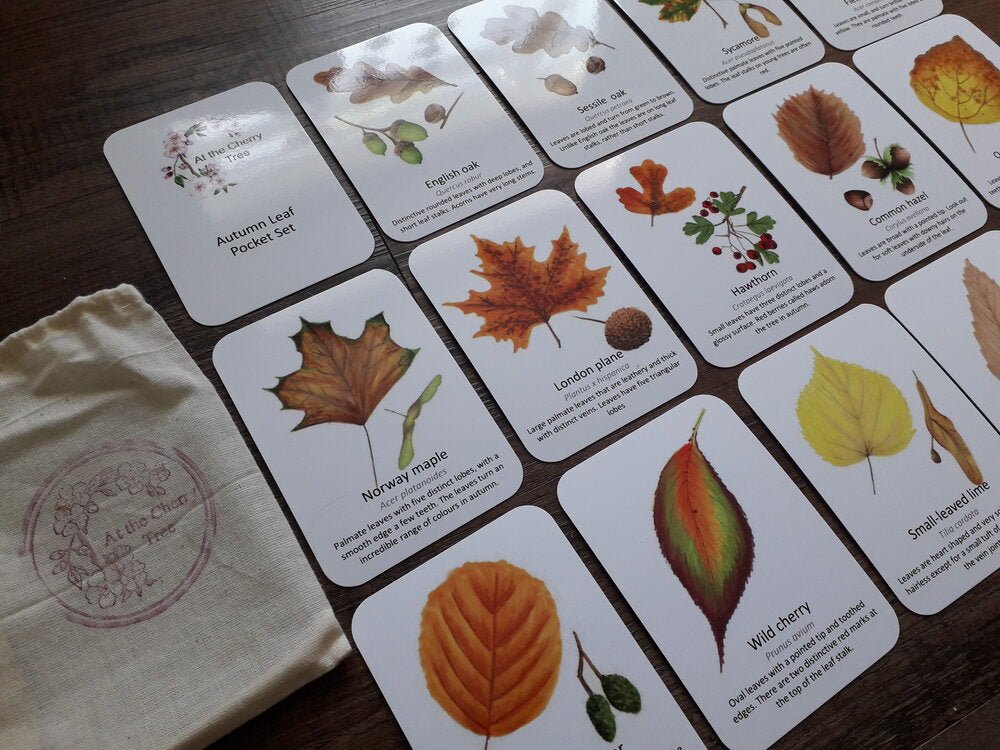 Autumn Leaf Identification - Pocket Set - At the Cherry Tree