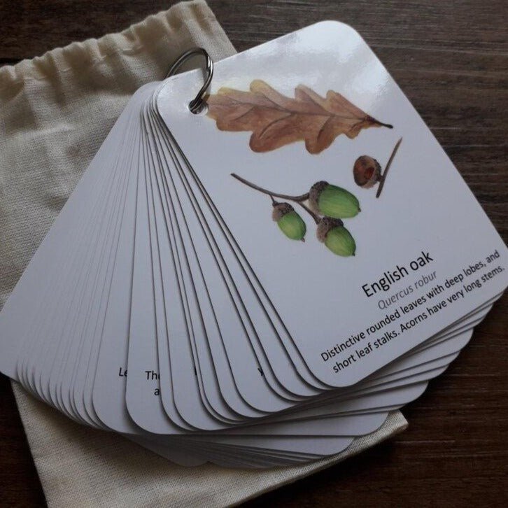 Autumn Leaf Identification - Pocket Set - At the Cherry Tree