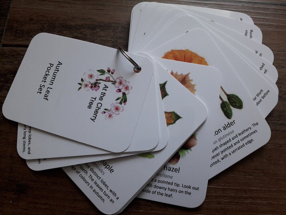 Autumn Leaf Identification - Pocket Set - At the Cherry Tree