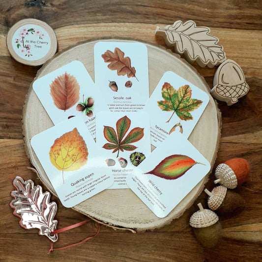 Autumn Leaf Identification - Pocket Set - At the Cherry Tree