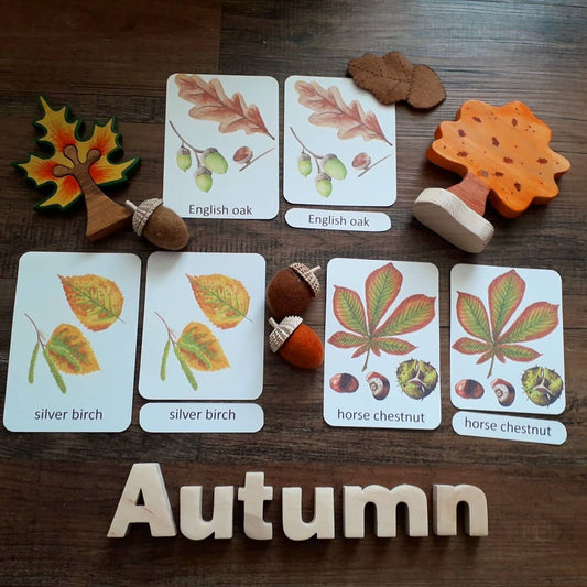 Autumn Leaf Montessori Pack - PDF - At the Cherry Tree