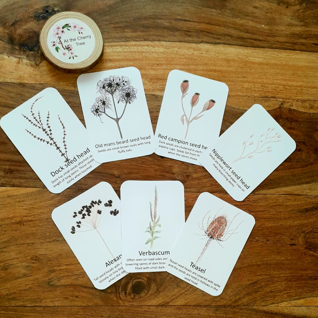 Autumn seedheads - PDF - At the Cherry Tree
