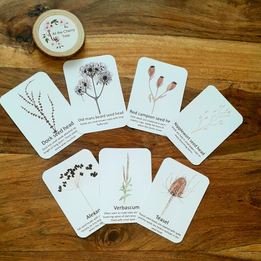 Autumn seedheads - PDF - At the Cherry Tree