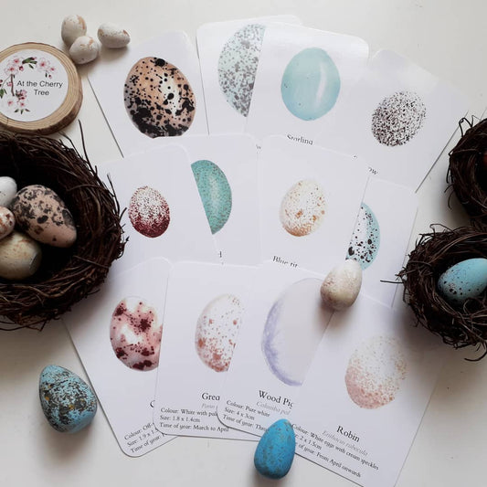 Bird Eggs flashcards - PDF - At the Cherry Tree