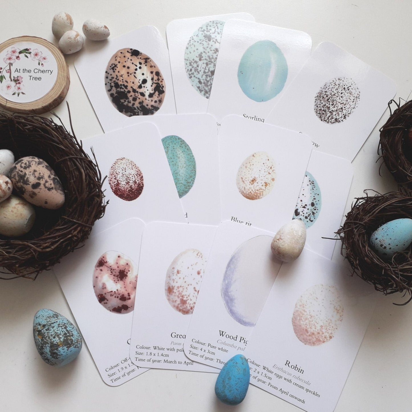 Bird Eggs - Pocket Set - At the Cherry Tree
