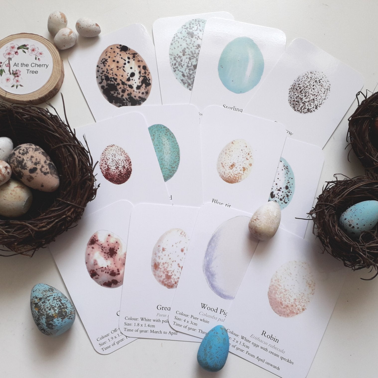 Bird Eggs - Pocket Set - At the Cherry Tree