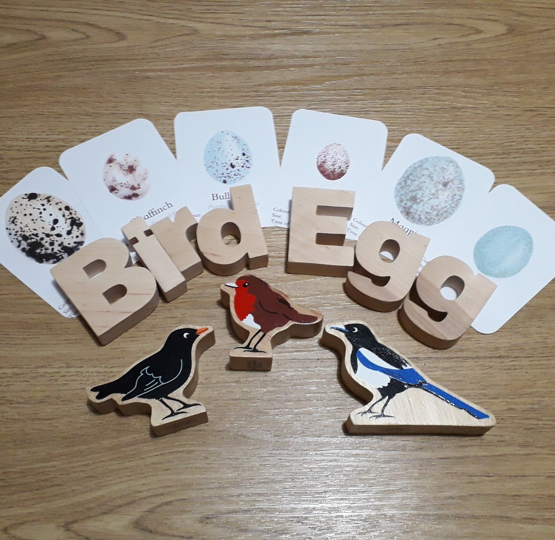 Bird Eggs - Pocket Set - At the Cherry Tree