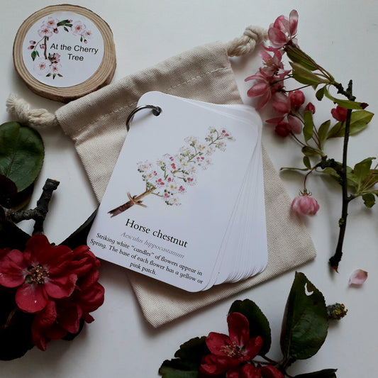Blossom, Catkins and Flowers - Pocket Set - At the Cherry Tree