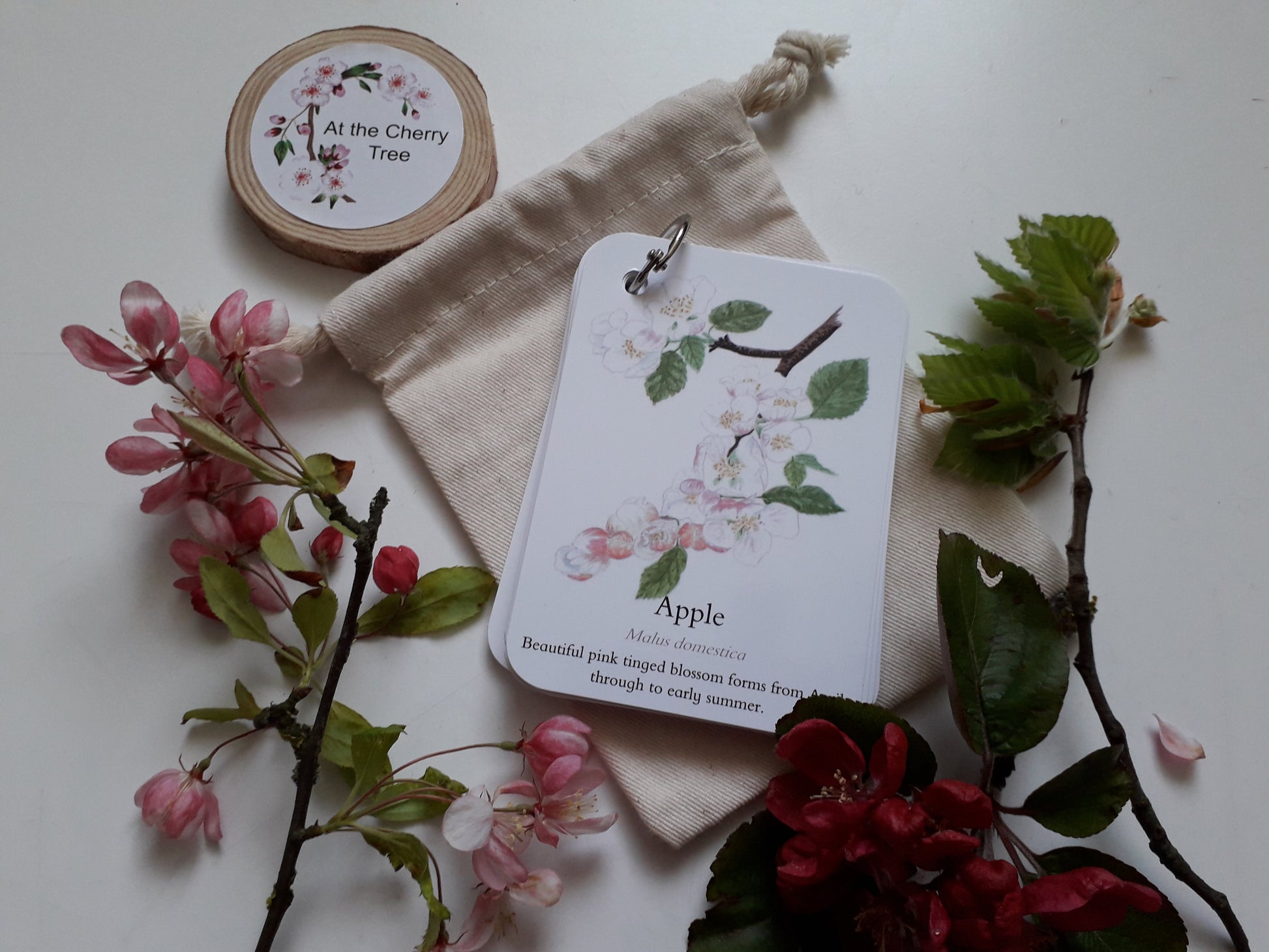 Blossom, Catkins and Flowers - Pocket Set - At the Cherry Tree
