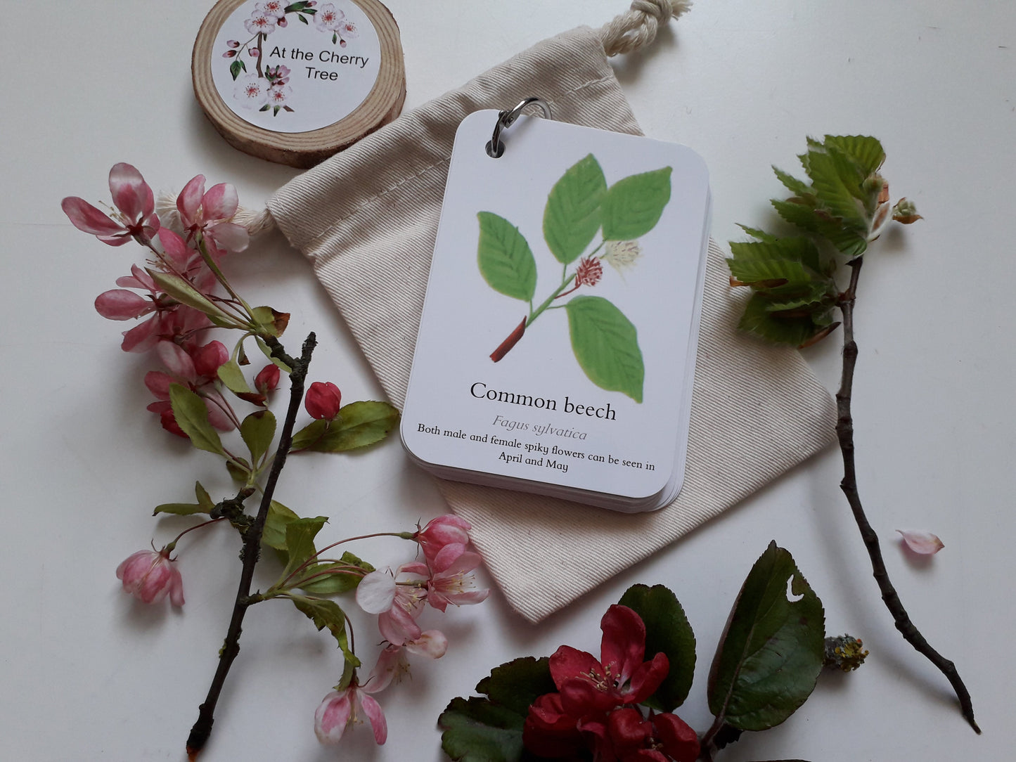 Blossom, Catkins and Flowers - Pocket Set - At the Cherry Tree