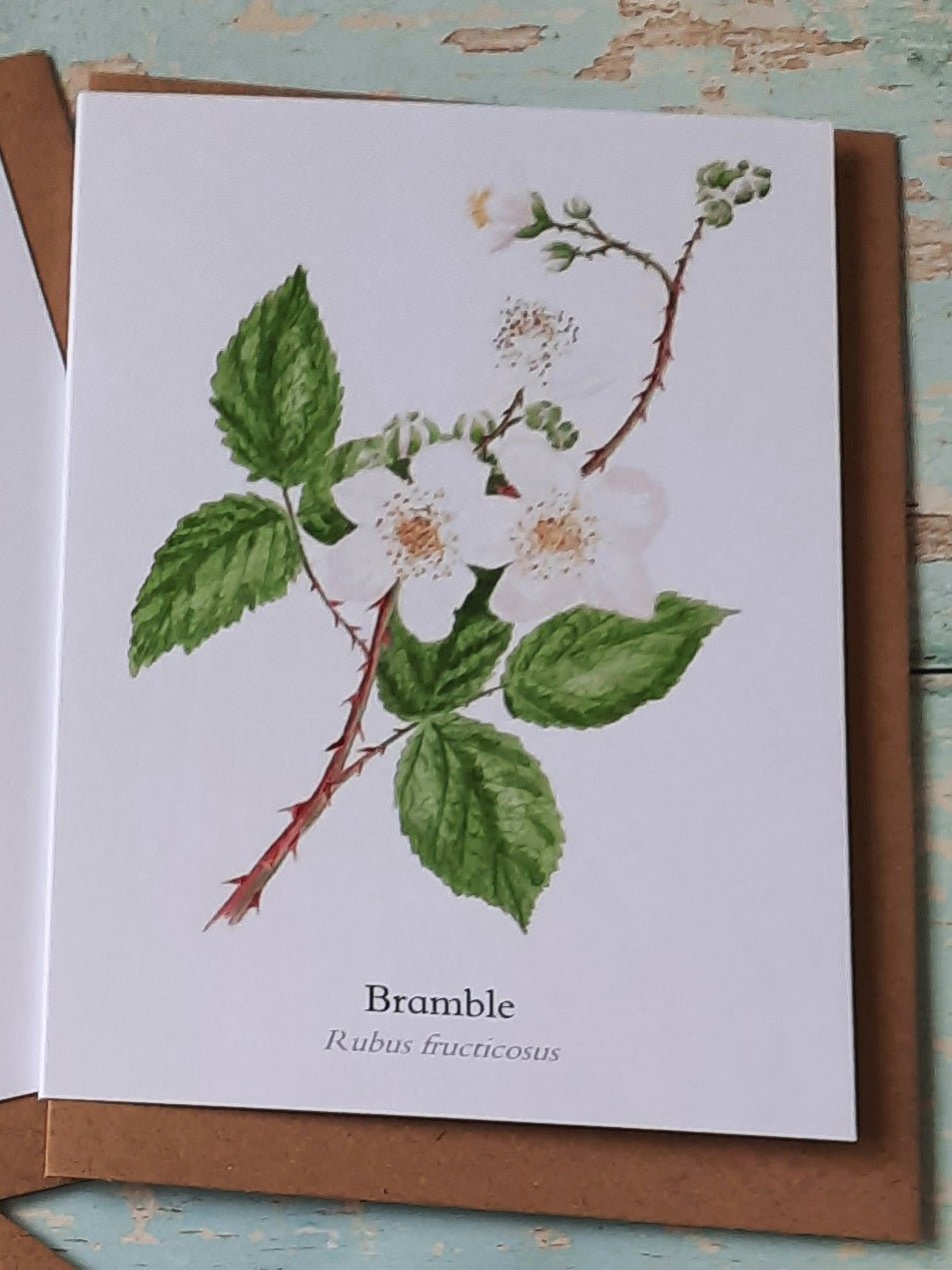 Bramble in Flower - Greetings Card - At the Cherry Tree