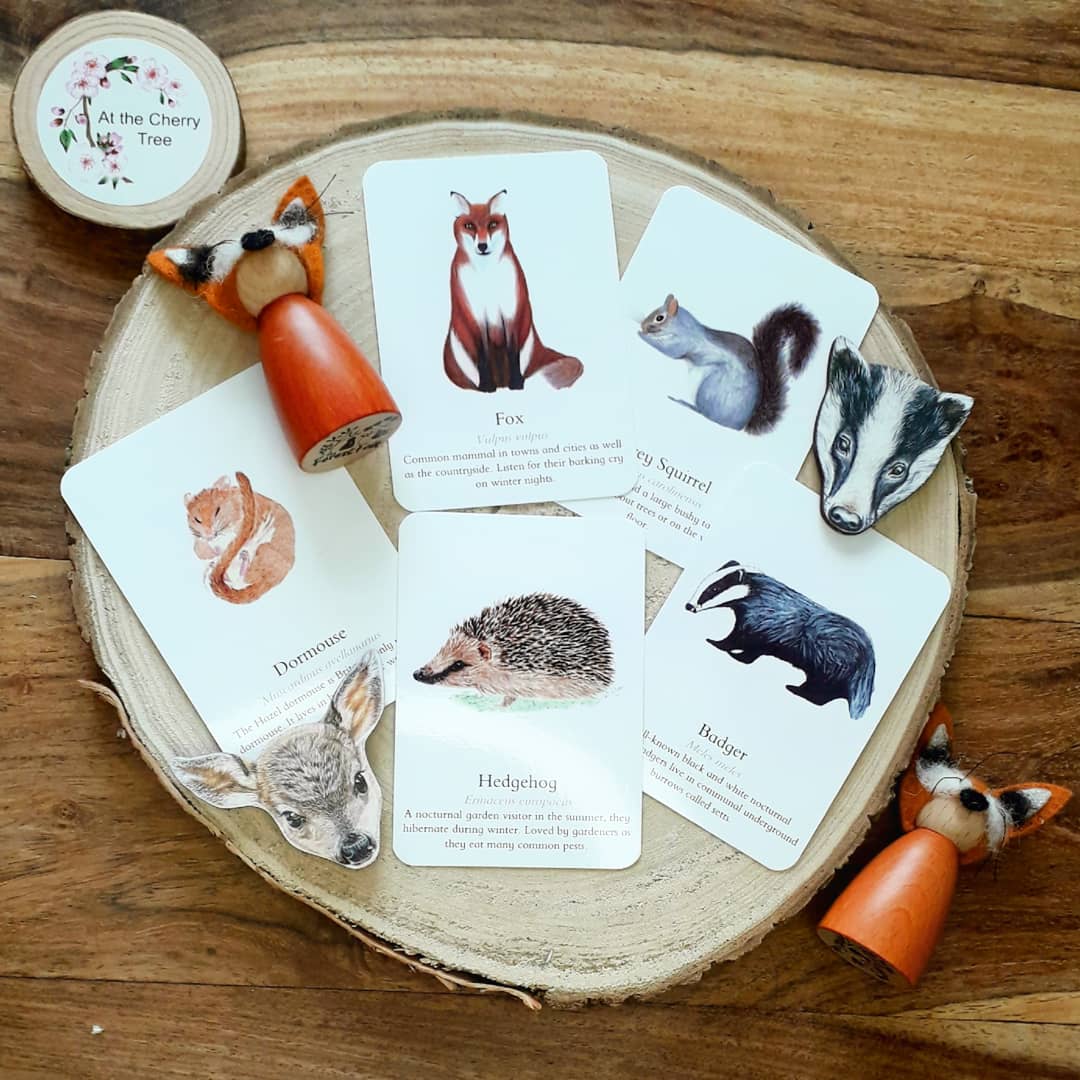 British Mammals - Pocket Set - At the Cherry Tree