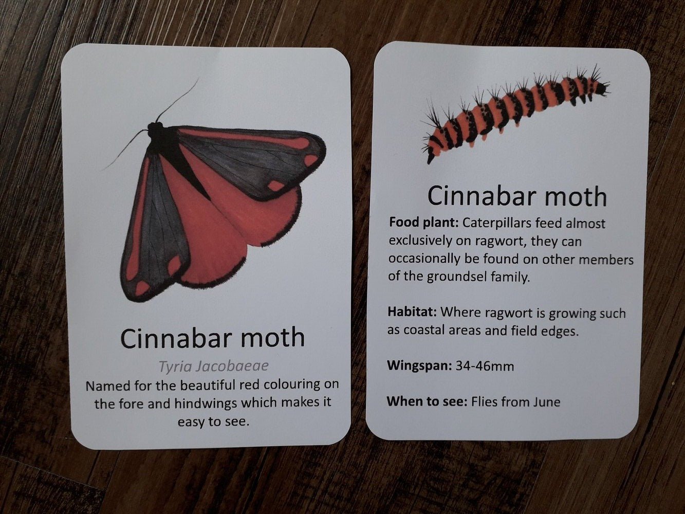 Butterflies and Moths A7 cards - At the Cherry Tree