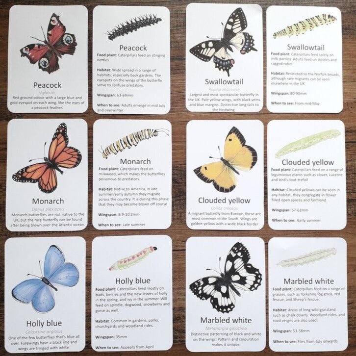 Butterflies and Moths A7 cards - At the Cherry Tree