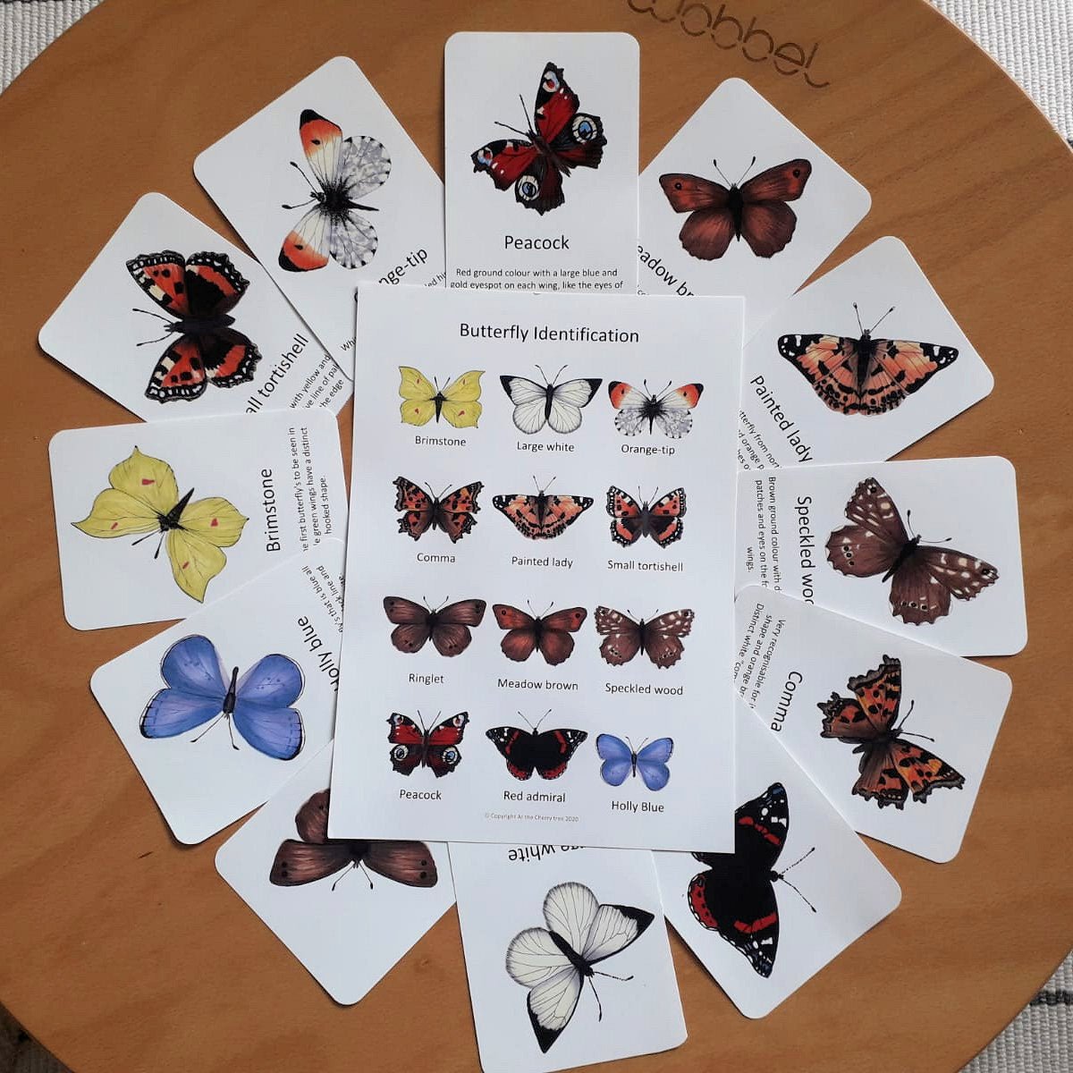 Butterfly Flashcards - PDF - At the Cherry Tree