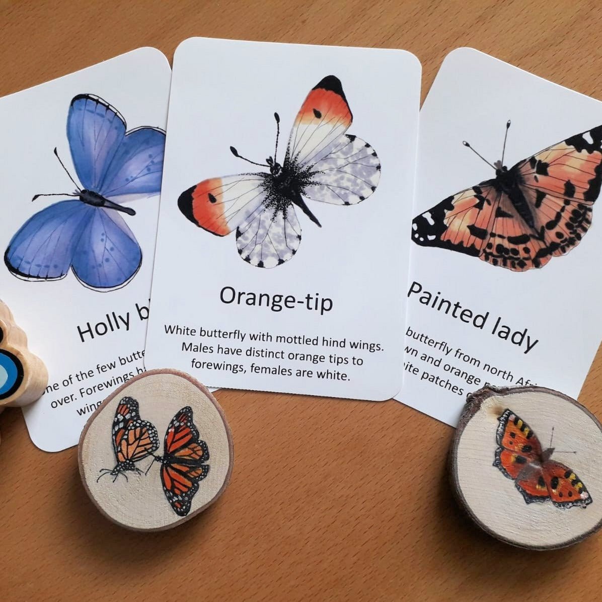 Butterfly Flashcards - PDF - At the Cherry Tree