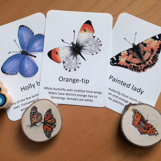 Butterfly Flashcards - PDF - At the Cherry Tree