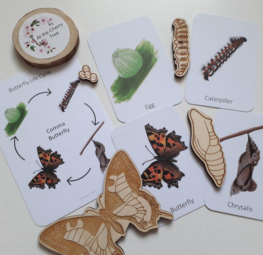 Butterfly Lifecycle Set - At the Cherry Tree
