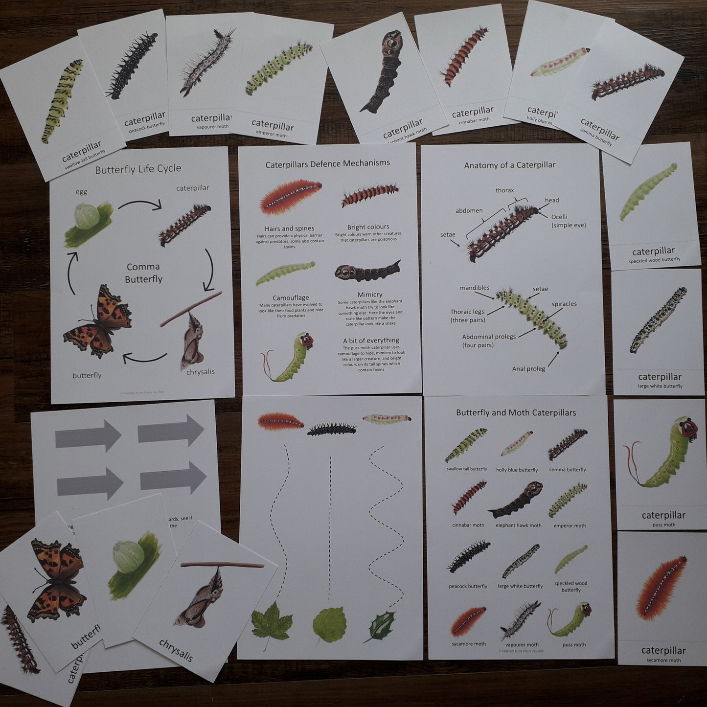 Caterpillar pack - PDF - At the Cherry Tree
